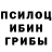 Галлюциногенные грибы мухоморы tycens