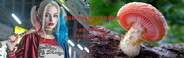 мет Тайга