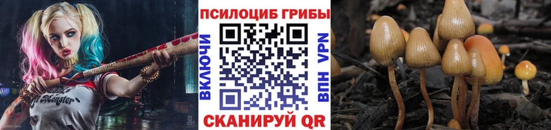 ОМГ ОМГ сайт  Выборг  Псилоцибиновые грибы ЛСД  купить  цена 