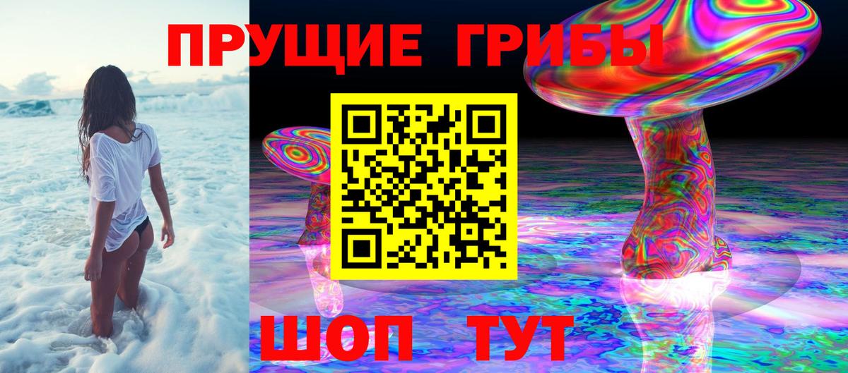 Галлюциногенные грибы Cubensis Выборг