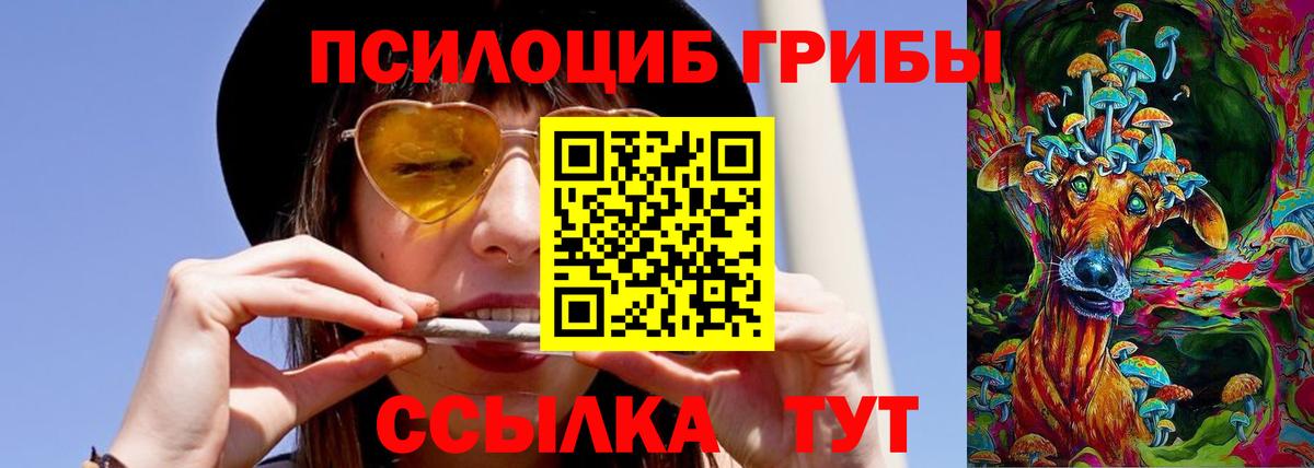 наркошоп  Галлюциногенные грибы Psilocybine cubensis  Вход с VPN  Псилоцибиновые грибы Magic Shrooms  Выборг 