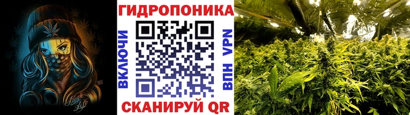 хочу наркоту  даркнет клад  Канабис White Widow  Выборг 